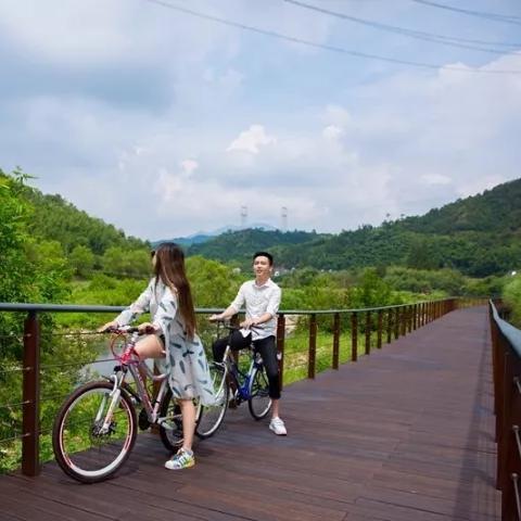 最近浙江公园有开放吗最新消息