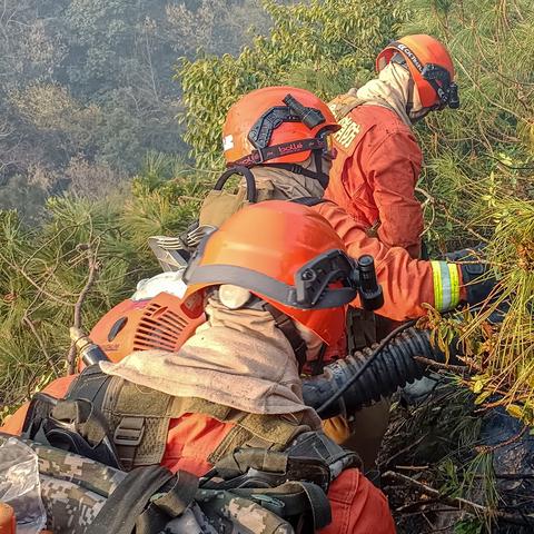 大理周边火灾事件最新视频报道概览