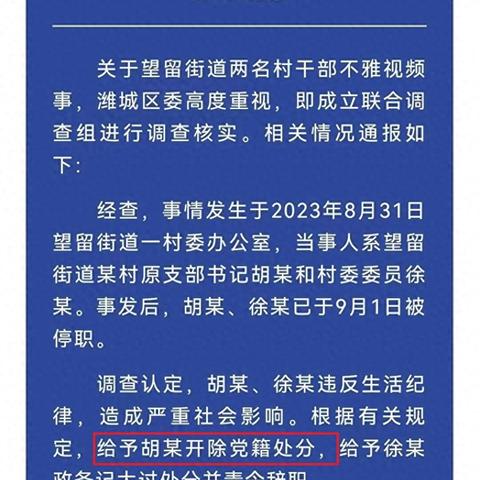 最新诈骗处罚条例深度解读，内容、要点、应用与影响分析